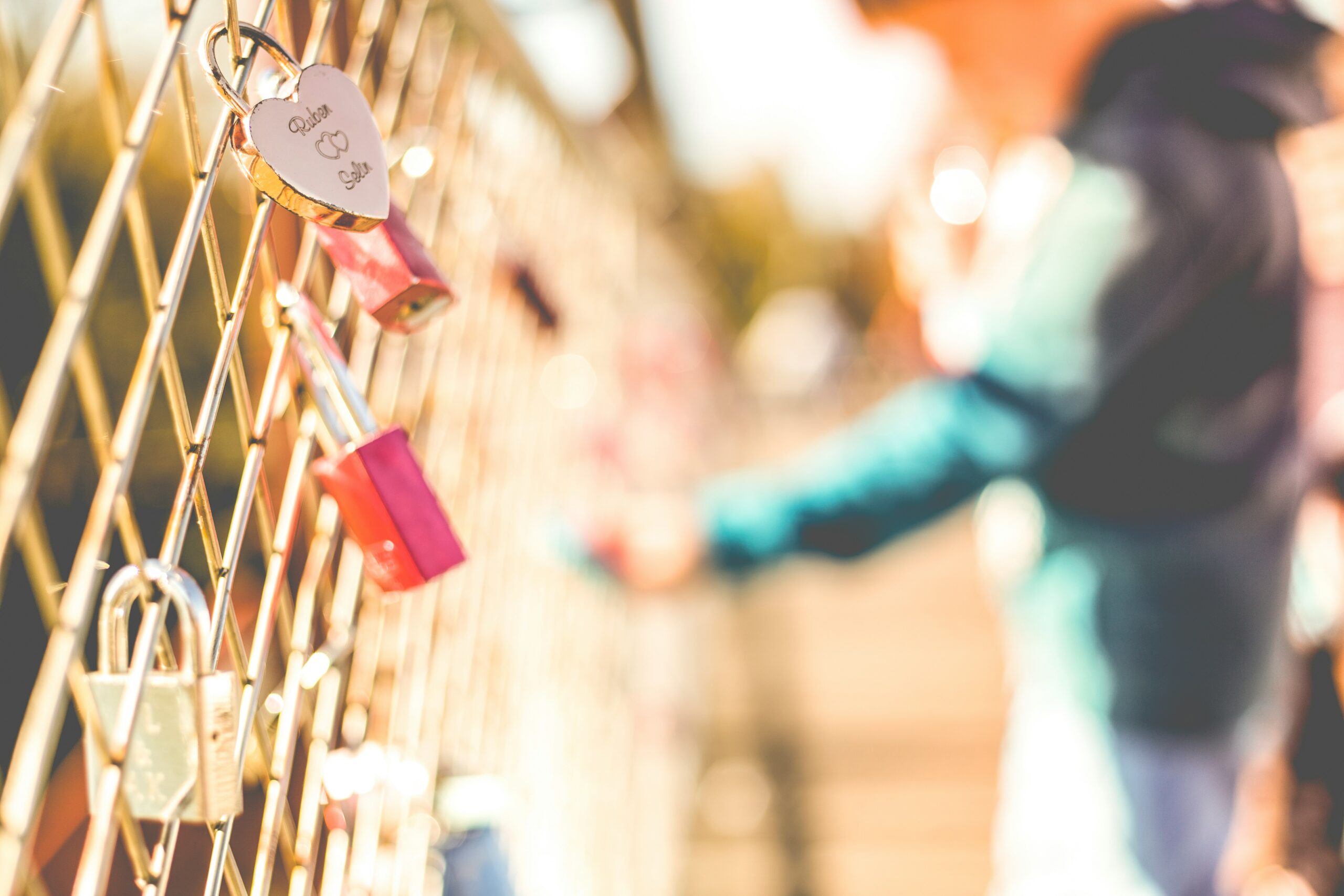 fence with padlocks